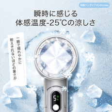 ハンディファン